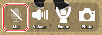 In-app mic setting on/off