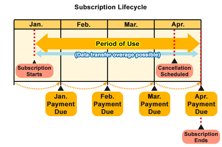 Example of the usage period and timing of payments for subscriptions