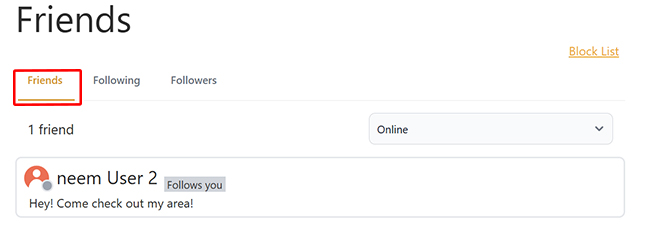 Friends tab in on Friends page