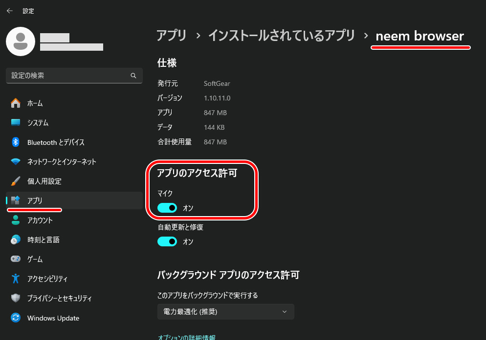 Windowsでのアクセス許可の例。アプリの設定。